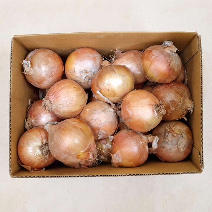 전남 무안 햇양파, 특대, 5kg, 1박스